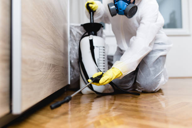 Flea Control Services in Morganton, NC
