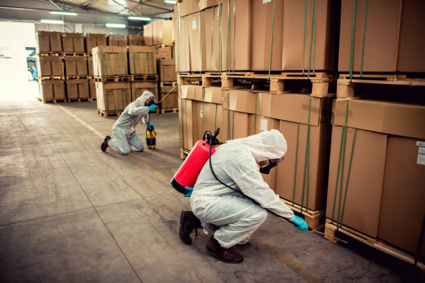Flea Control Services in Morganton, NC