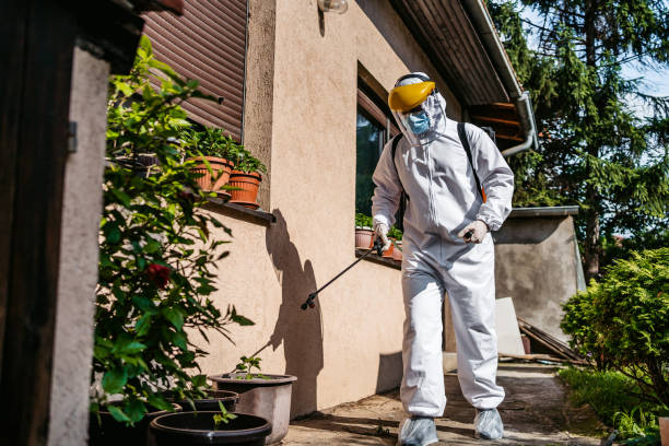 Wildlife Control Services in Morganton, NC