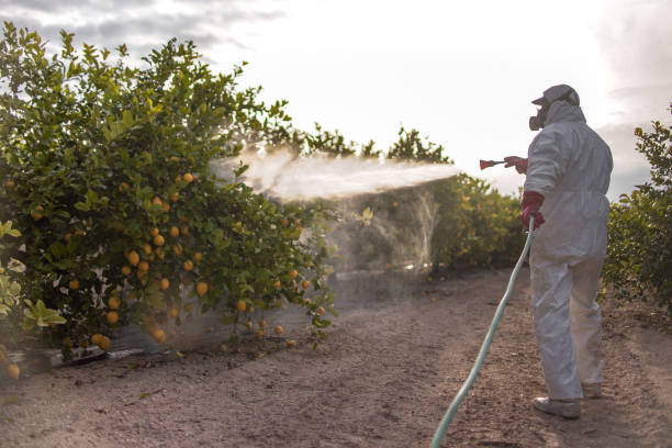 Best Pest Prevention Services  in Morganton, NC