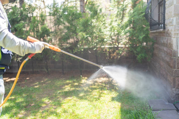 Best Commercial Pest Control Services  in Morganton, NC