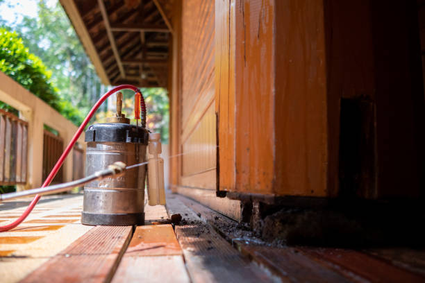 Best Commercial Pest Control Services  in Morganton, NC