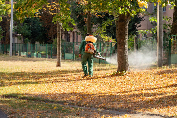 Best Best Pest Control Companies  in Morganton, NC